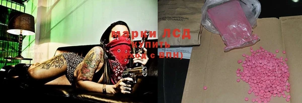 ECSTASY Белокуриха