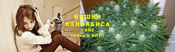 ECSTASY Белокуриха