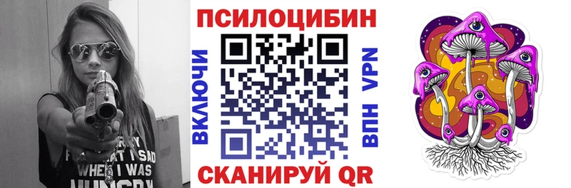 Галлюциногенные грибы Psilocybe  закладка  Малоярославец 
