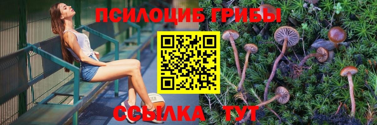 Галлюциногенные грибы Cubensis  Вход с VPN  цены наркотик  Псилоцибиновые грибы Cubensis  Малоярославец 